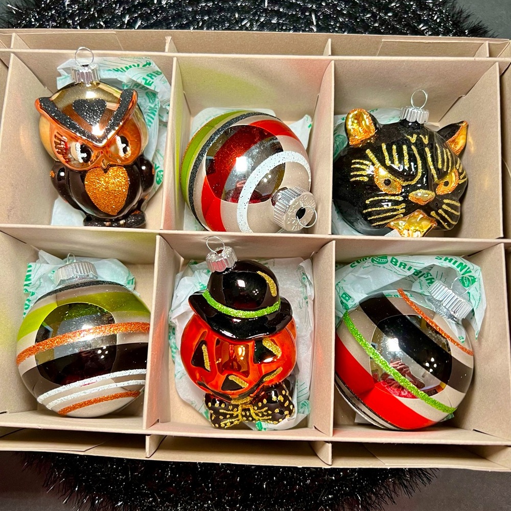 Halloween Radko Set of 6 Glass Ornaments Owl Black Cat Jack o Lantern Balls